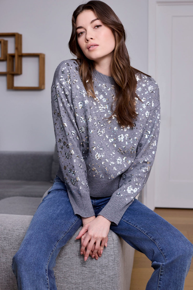 Sequined Crew Neck Sweater