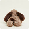 Brown Dog Warmie