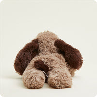 Brown Dog Warmie