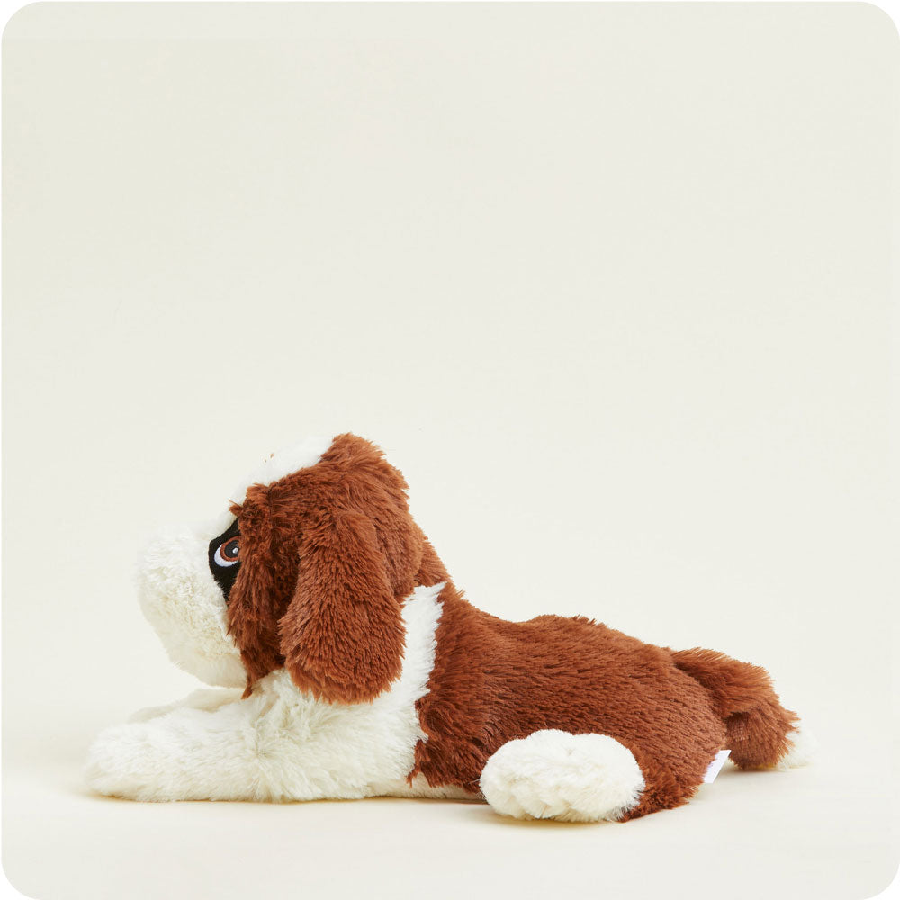 St. Bernard Warmie