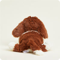 St. Bernard Warmie