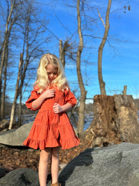 Saoirse Dress