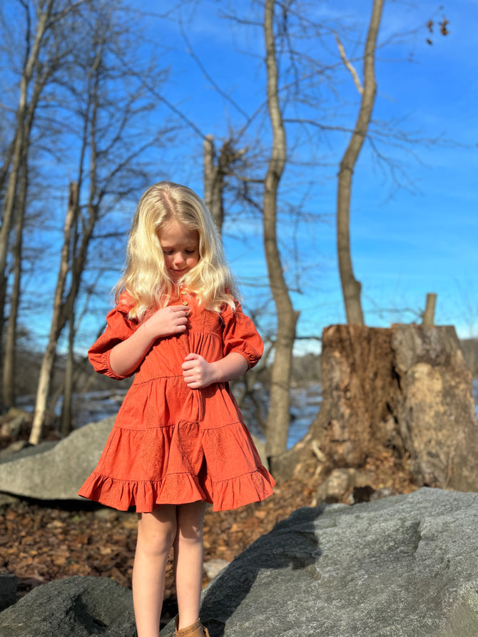 Saoirse Dress