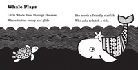 Baby's First Stories: 0-3 Months