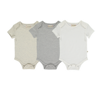 Walty Pale Solids